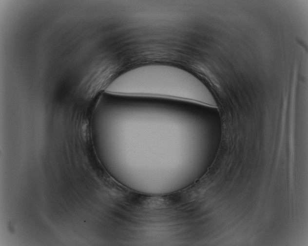 X0000093620123200710151048