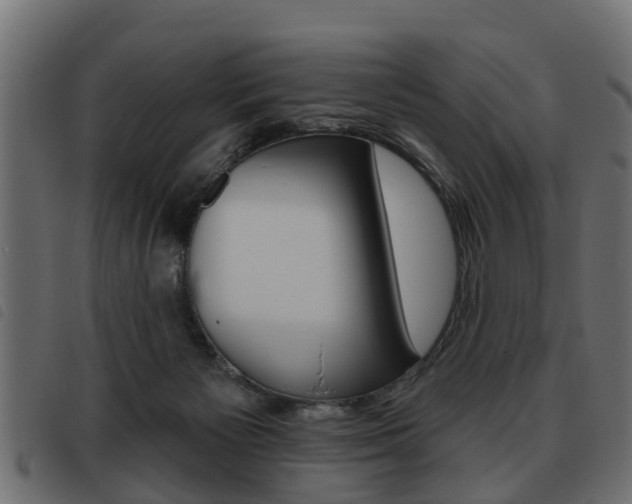 X0000093620125200710151048