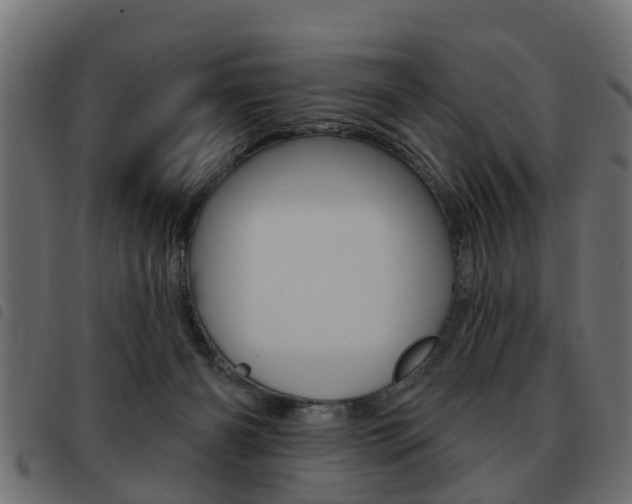 X0000093620126200710151048