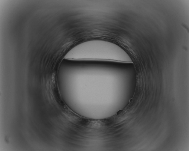 X0000093620127200710151048