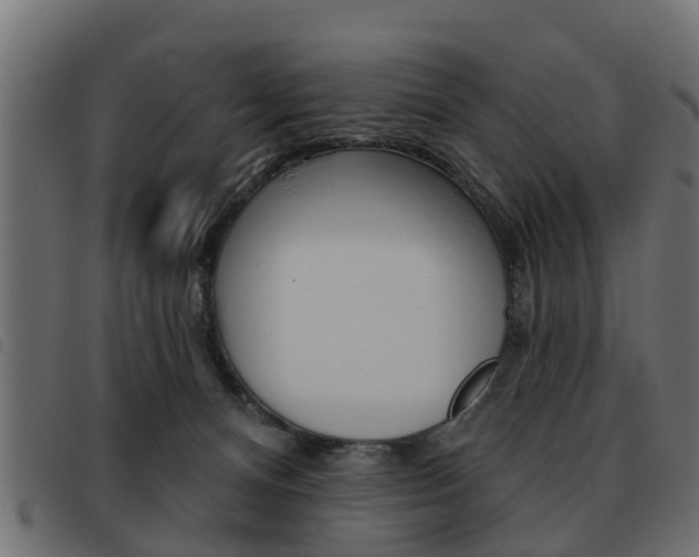 X0000093620128200710151048
