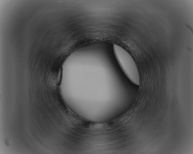 X0000093620129200710151048