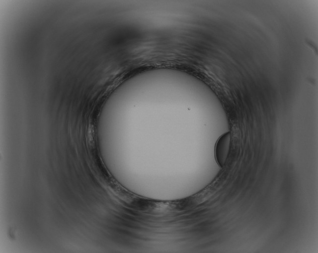 X0000093620130200710151048