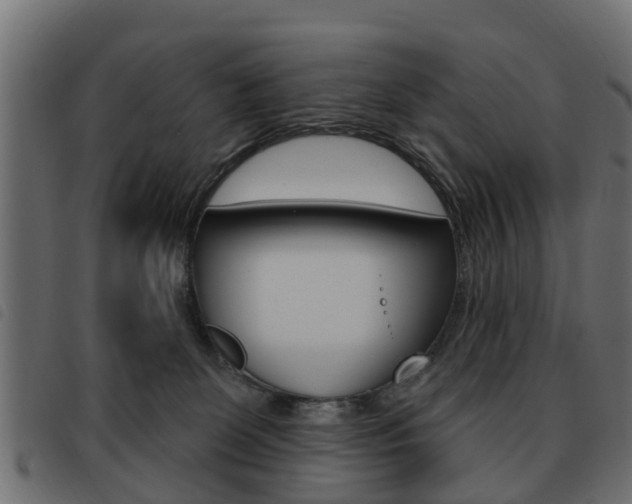 X0000093620131200710151048