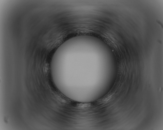 X0000093620135200710151048