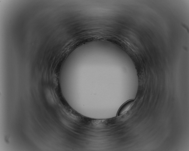 X0000093620136200710151048