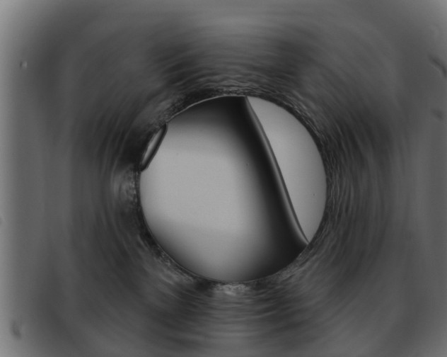 X0000093620137200710151048