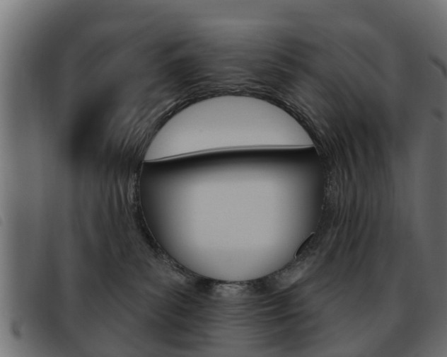 X0000093620139200710151048