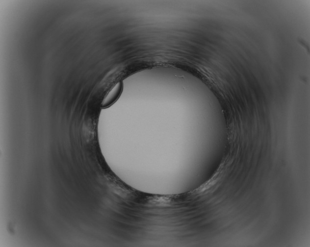 X0000093620140200710151048