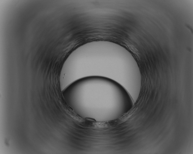X0000093620141200710151047