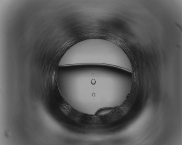 X0000093620143200710151047