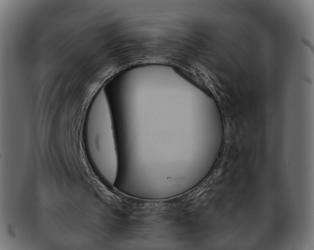 X0000093620145200710151047