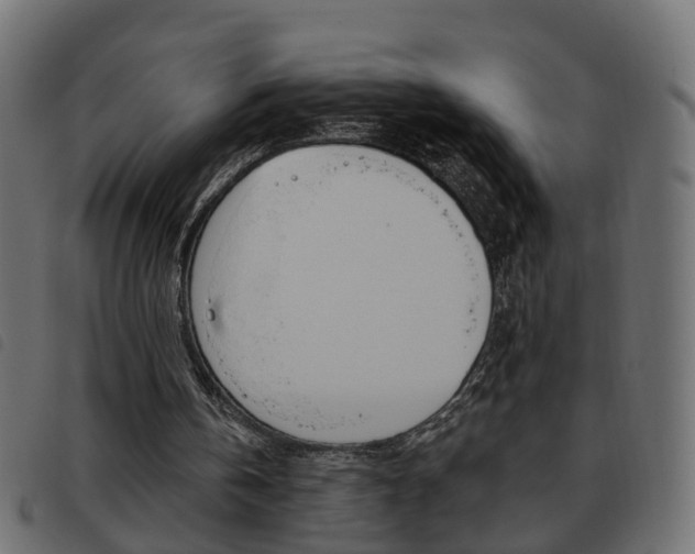 X0000093620146200710151047
