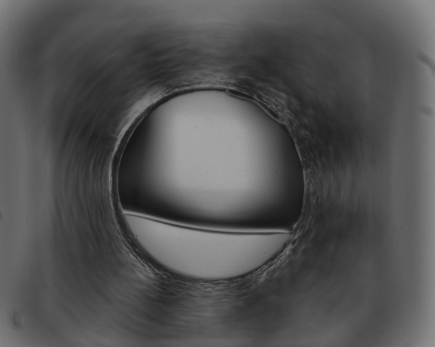 X0000093620148200710151047