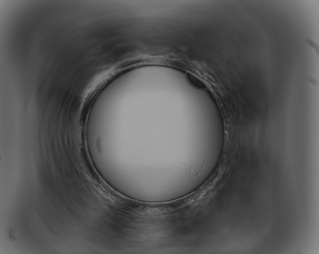 X0000093620149200710151047