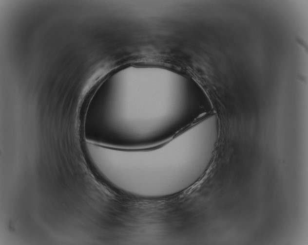 X0000093620150200710151047