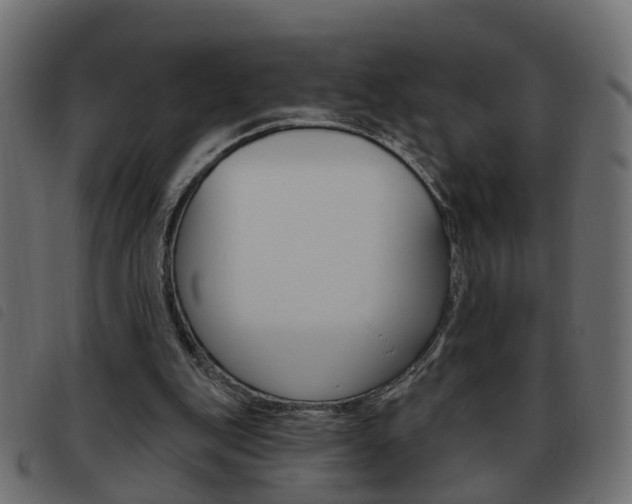 X0000093620151200710151047