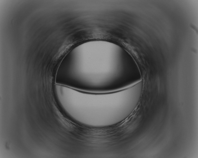 X0000093620154200710151047