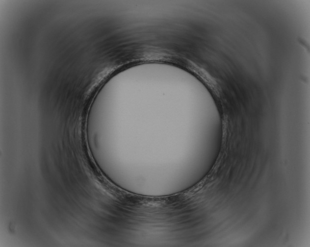 X0000093620155200710151047