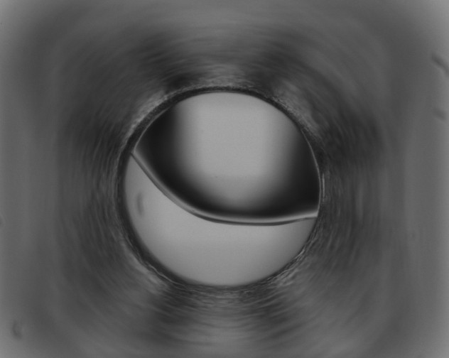 X0000093620156200710151047