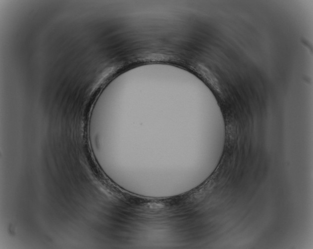 X0000093620159200710151047