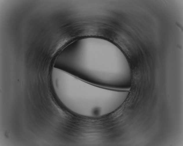 X0000093620160200710151047