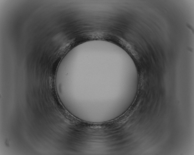 X0000093620161200710151047