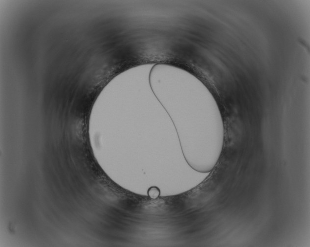 X0000093620162200710151047