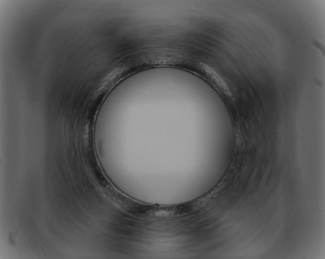 X0000093620163200710151047