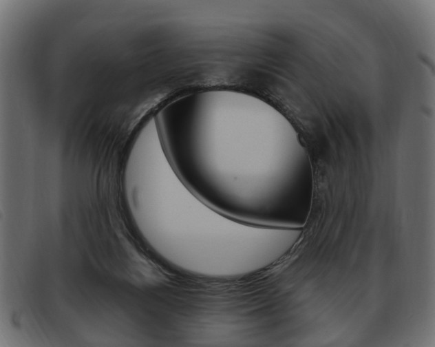 X0000093620164200710151047