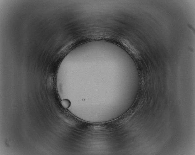 X0000093620165200710151047