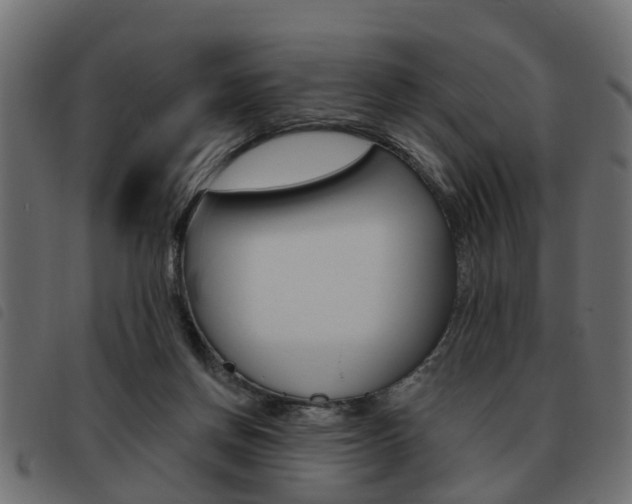 X0000093620166200710151047