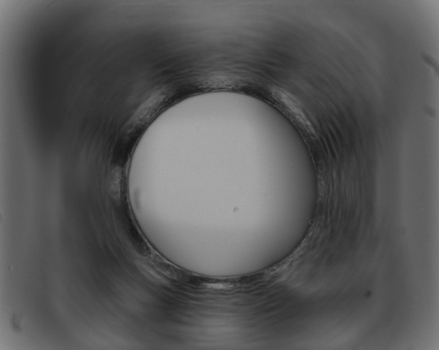 X0000093620167200710151047