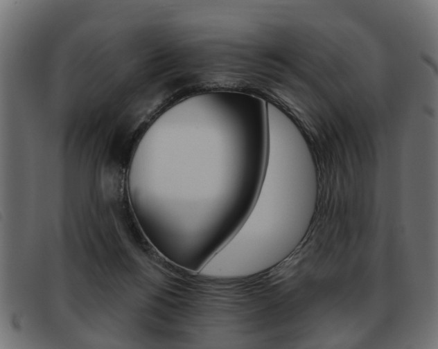 X0000093620168200710151047