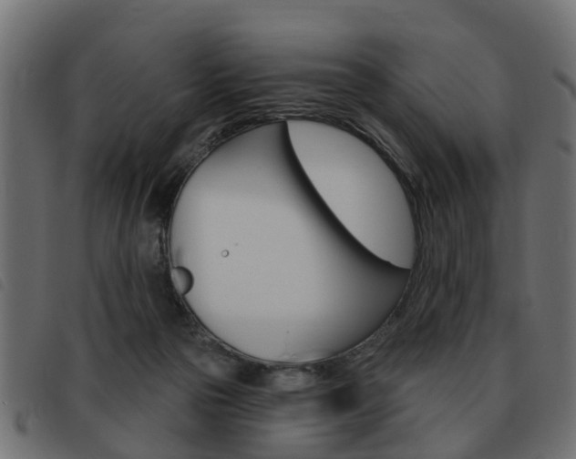 X0000093620169200710151047