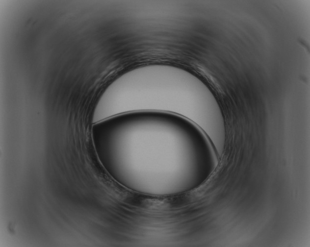 X0000093620170200710151047
