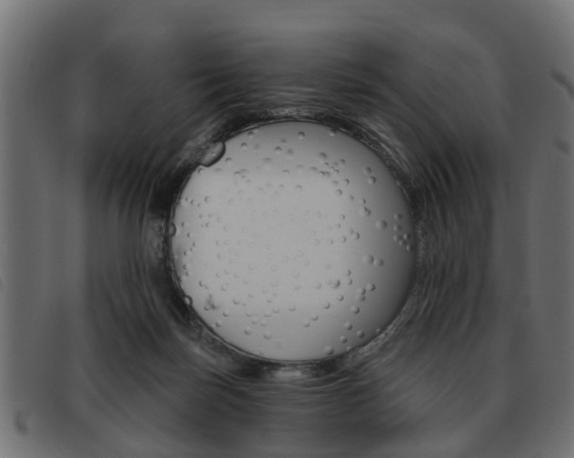 X0000093620171200710151047