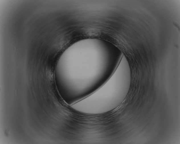 X0000093620176200710151047