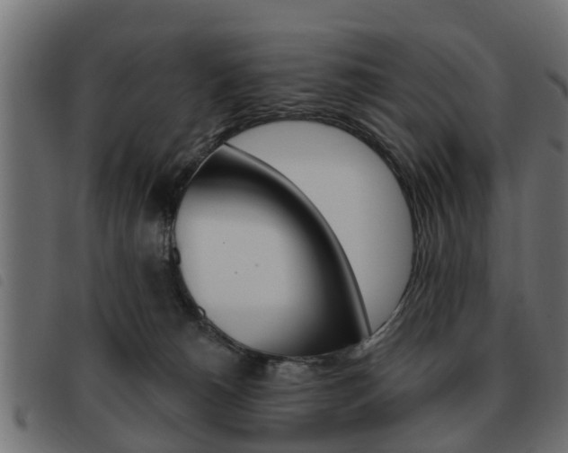 X0000093620180200710151047