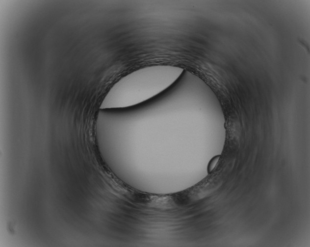X0000093620185200710151047