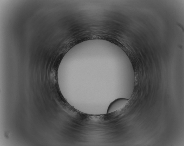 X0000093620187200710151047