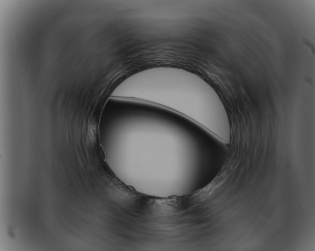 X0000093620188200710151047