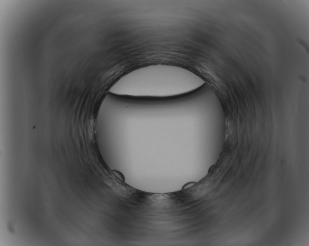 X0000093620189200710151047