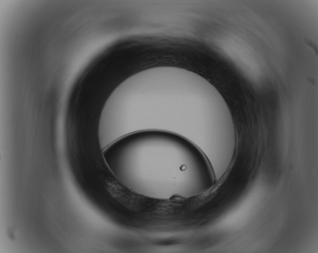 X0000093620190200710151047
