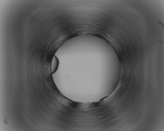 X0000093620191200710151047