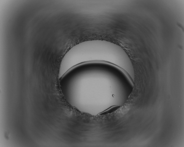 X0000093620192200710151047