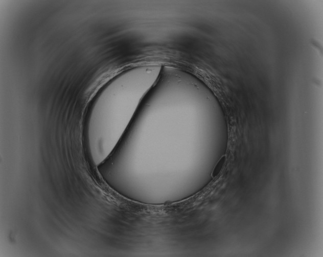 X0000093620194200710151047