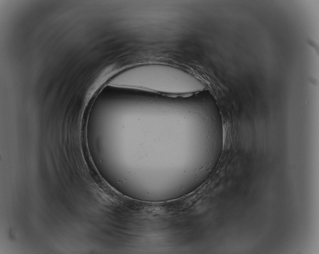 X0000093620195200710151047