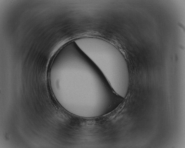 X0000093620196200710151047