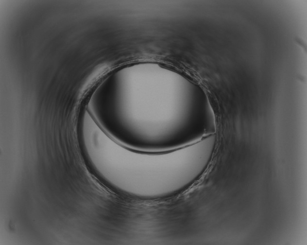 X0000093620197200710151047